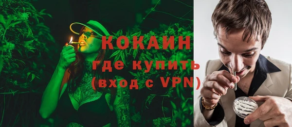 стафф Кулебаки